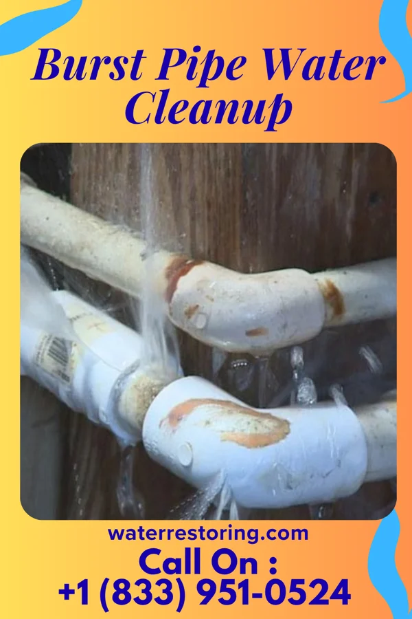 Burst Pipe Water Cleanup in Elgin, MN