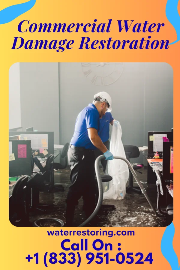 Commercial Water Damage Restoration in Elgin, MN