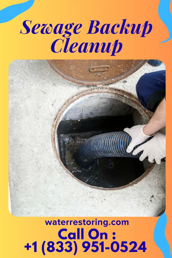 Sewage Backup Cleanup in Elgin, MN